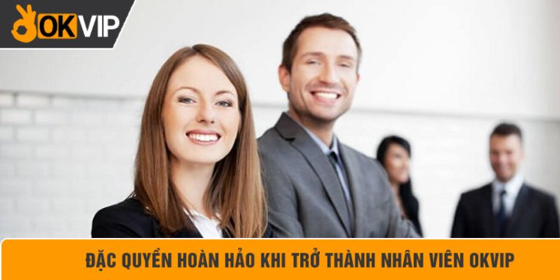 Quyền lợi lao động ở vị trí SEO tại OKVIP