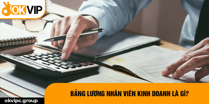 Bảng lương nhân viên kinh doanh là gì?