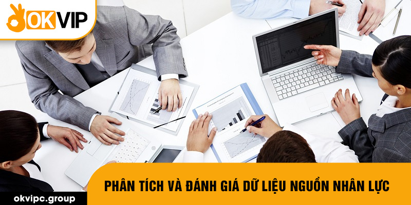 Phân tích và đánh giá dữ liệu nguồn nhân lực