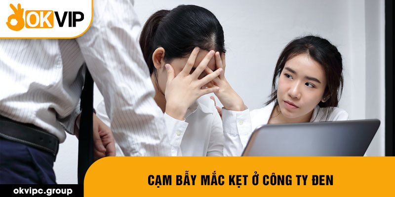 Cạm bẫy mắc kẹt ở công ty đen