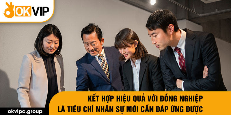 Kết hợp hiệu quả với đồng nghiệp là tiêu chí nhân sự mới cần đáp ứng được