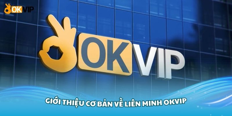 Giới thiệu cơ bản về liên minh OKVIP với nhiều điểm nổi bật